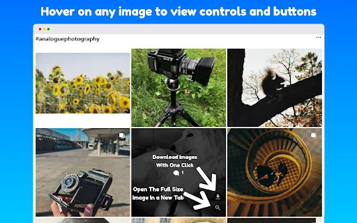 Instagram Media Controls: Video Scrubber & Zoom Gratis - Screenshot 2