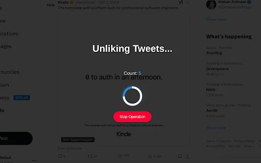 Mass Tweet Deletions & More – Powerful Twitter Automation Tool - Screenshot 5