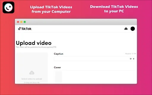 Web for TikTok – Download Video & Kelola Akun di PC - Screenshot 3